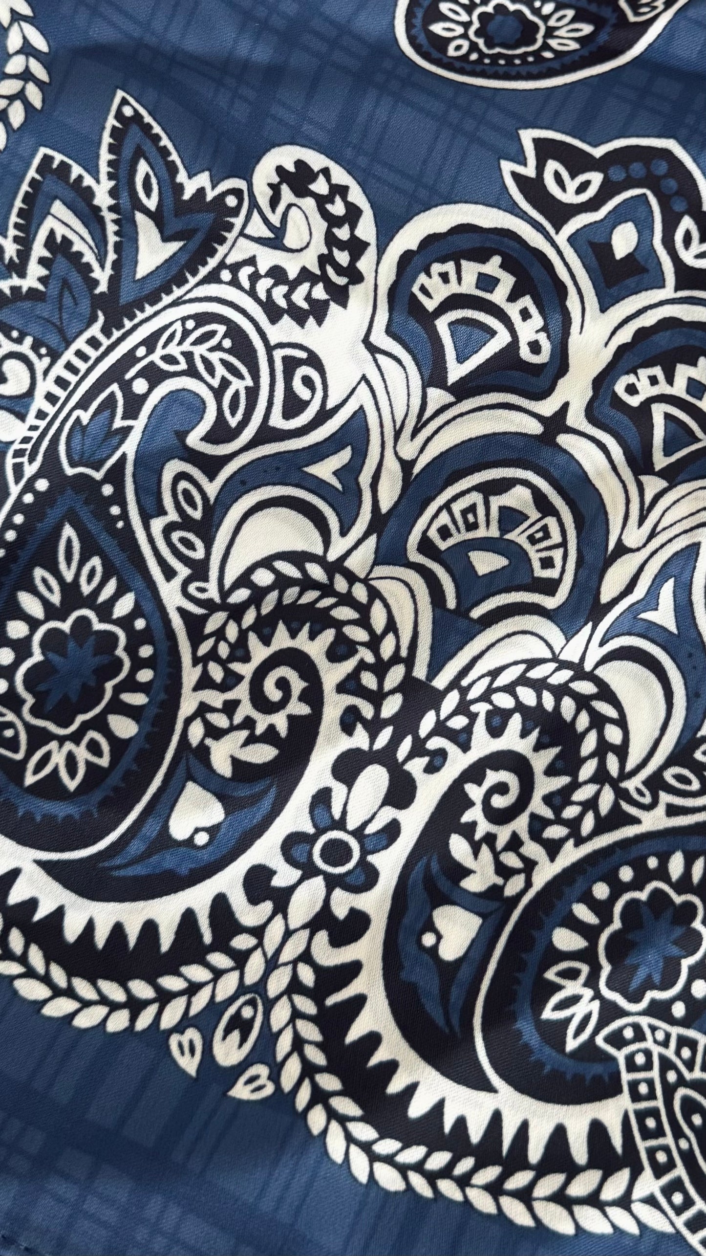 Blue Paisley Scarf